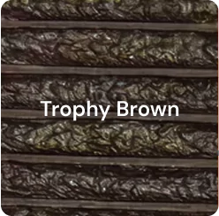 Trophy Brown