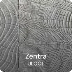 Zentra ULOOL